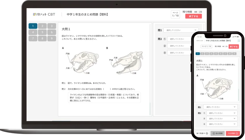 パレットCBT